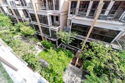 Holland Link (D10), Terrace #503034751